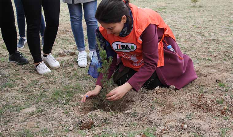 Tema Vakfı ile Dünya Kadınlar Gününde Fidan Dikimi